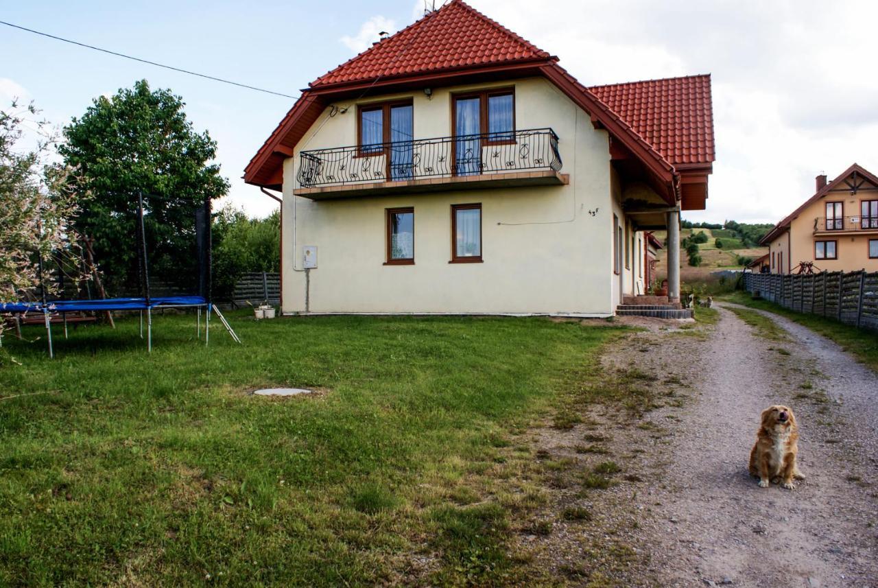 Agroturystyka U Aleksa Krajno-Zagorze Dış mekan fotoğraf
